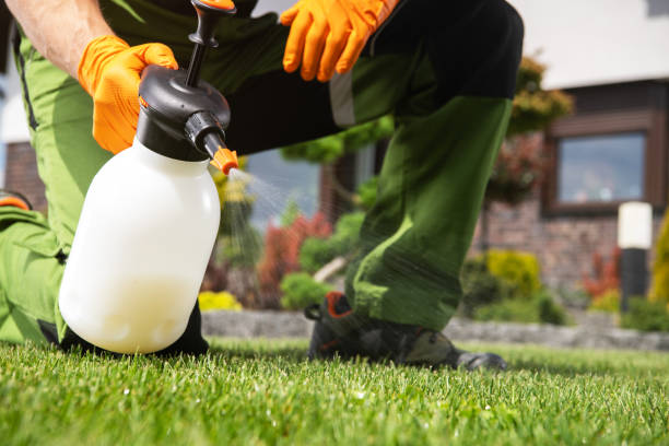 Best Pest Control Treatment  in Hugoton, KS